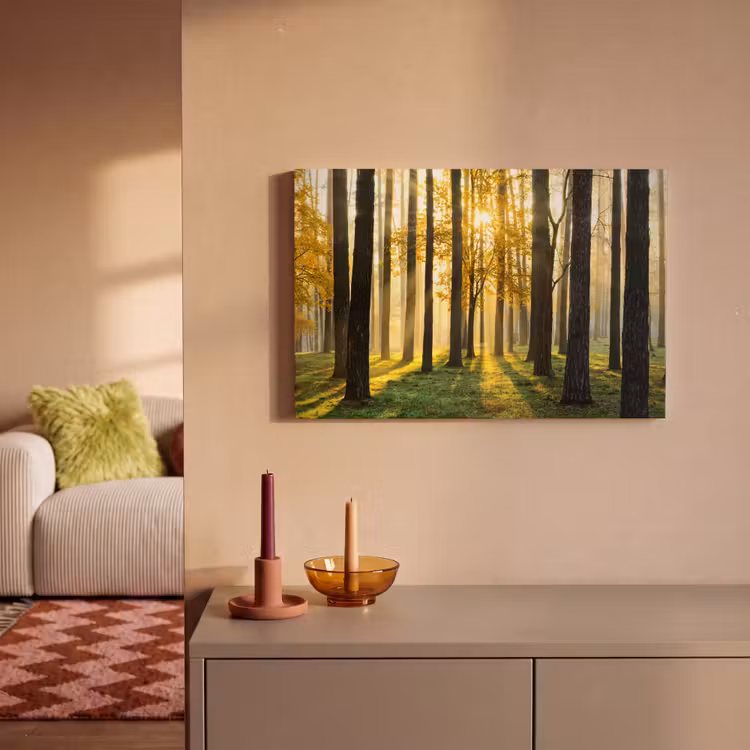 Canvas schilderij - Bos - Zon - Bomen - Gras - Landschap - Natuur — 2