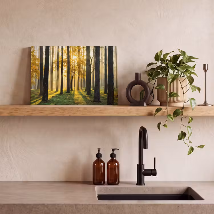 Canvas schilderij - Bos - Zon - Bomen - Gras - Landschap - Natuur — 3