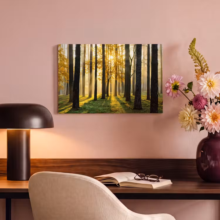 Canvas schilderij - Bos - Zon - Bomen - Gras - Landschap - Natuur — 4