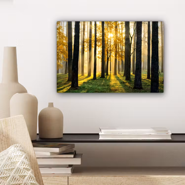 Canvas schilderij - Bos - Zon - Bomen - Gras - Landschap - Natuur — 5