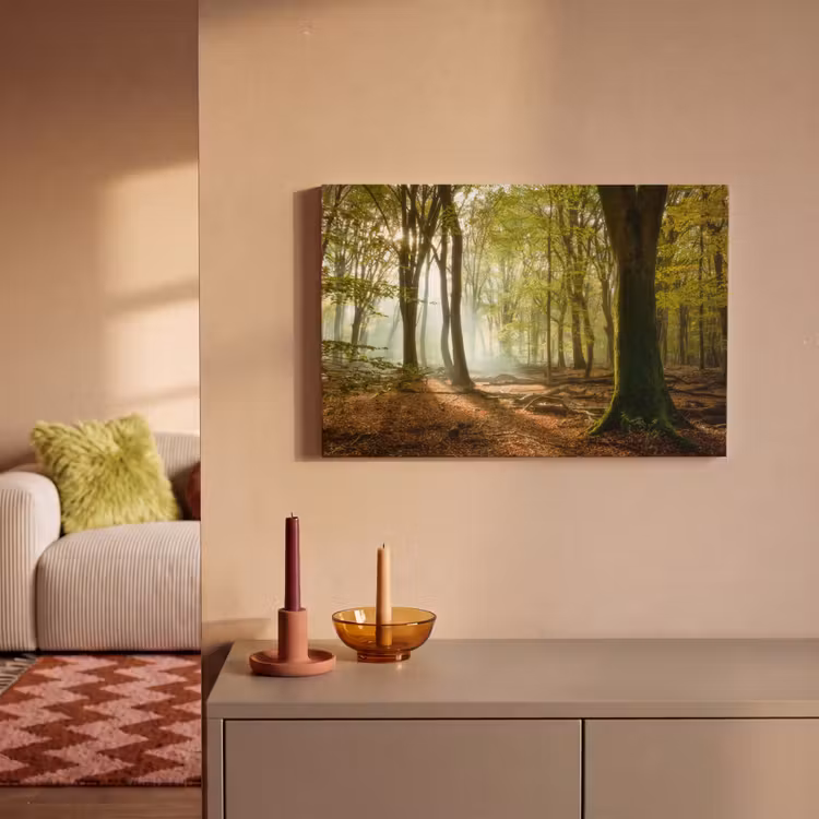 Canvas schilderij - Bos - Zon - Seizoenen - Landschap — 2