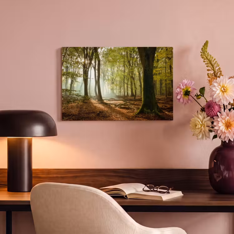 Canvas schilderij - Bos - Zon - Seizoenen - Landschap — 4
