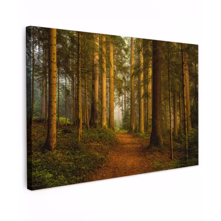 Canvas schilderij - Bos - Natuur - Bomen - Landschap - Bladeren — 1