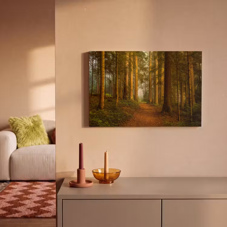 Canvas schilderij - Bos - Natuur - Bomen - Landschap - Bladeren — 2