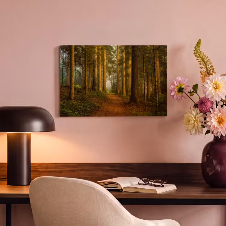 Canvas schilderij - Bos - Natuur - Bomen - Landschap - Bladeren — 4