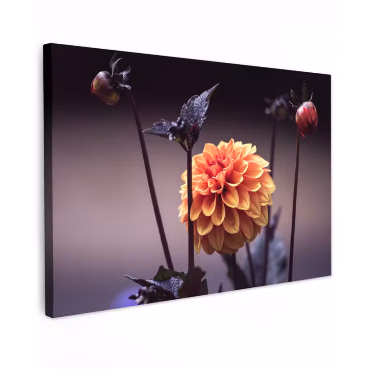 Canvas schilderij - Bloemen - Chrysant - Macro - Planten — 1