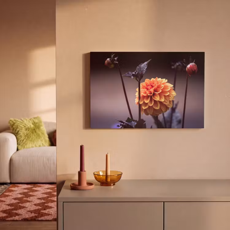 Canvas schilderij - Bloemen - Chrysant - Macro - Planten — 2
