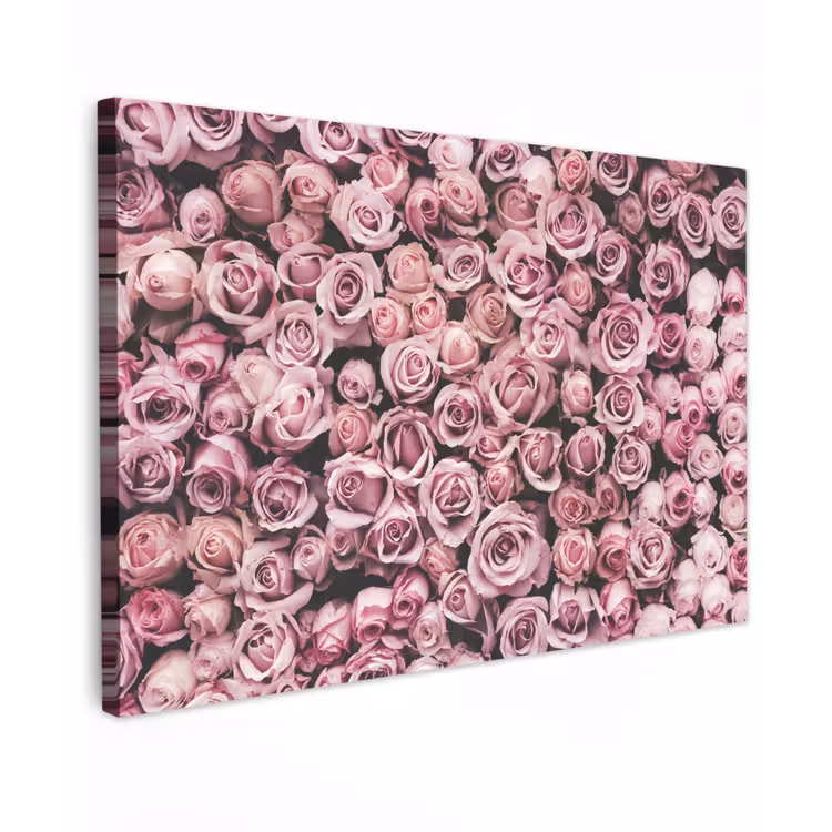 Canvas schilderij - Bloemen - Rozen - Natuur - Roze - Botanisch — 1