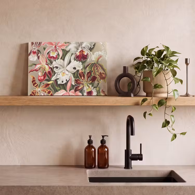 Canvas schilderij - Bloemen - Ernst Haeckel - Vintage - Orchidee — 3