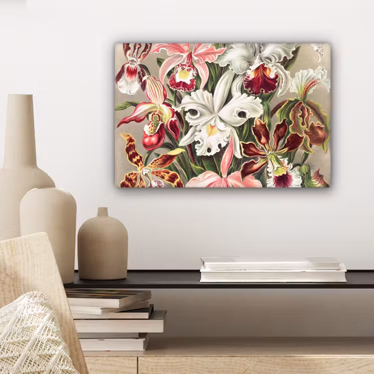 Canvas schilderij - Bloemen - Ernst Haeckel - Vintage - Orchidee — 5