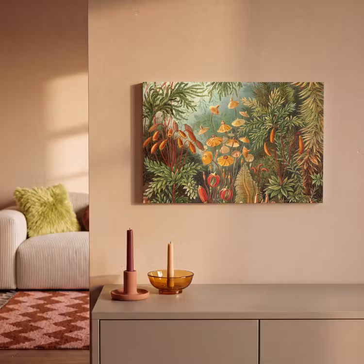 Canvas schilderij - Design - Natuur - Paddenstoelen - Ernst Haeckel — 2