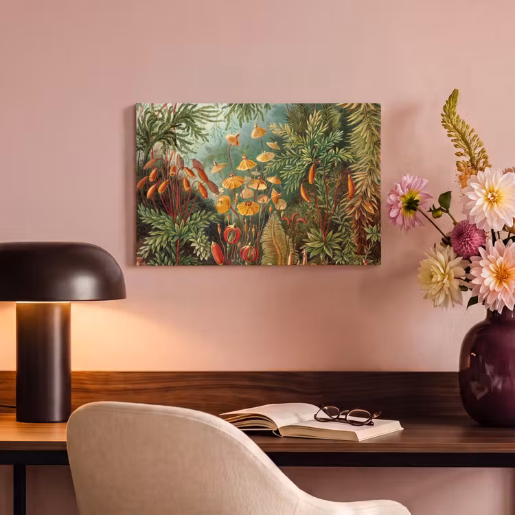 Canvas schilderij - Design - Natuur - Paddenstoelen - Ernst Haeckel — 4