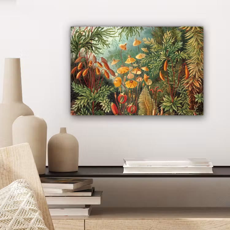 Canvas schilderij - Design - Natuur - Paddenstoelen - Ernst Haeckel — 5