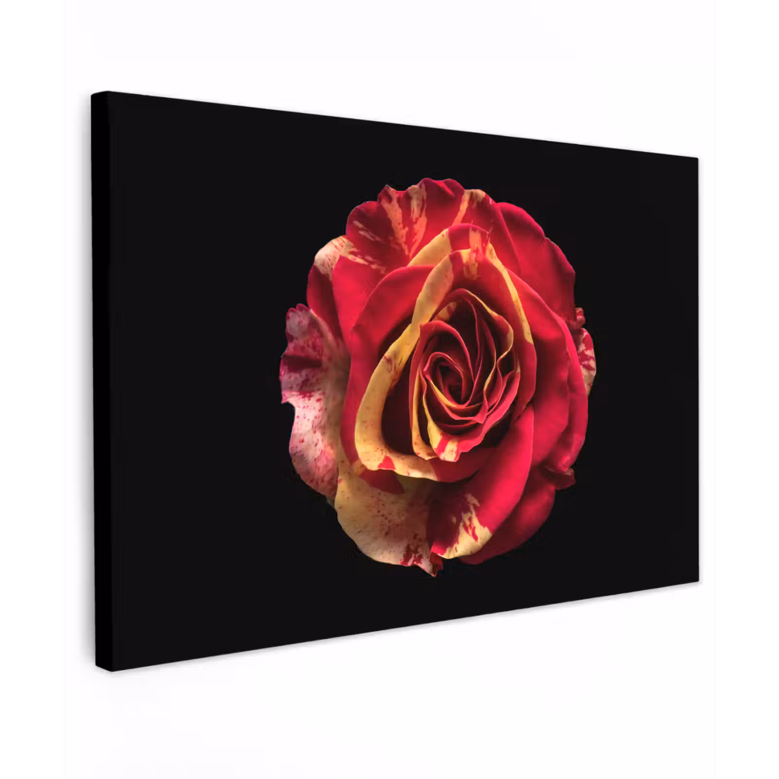 Canvas schilderij - Bloem - Roos - Rood - Zwart — 1