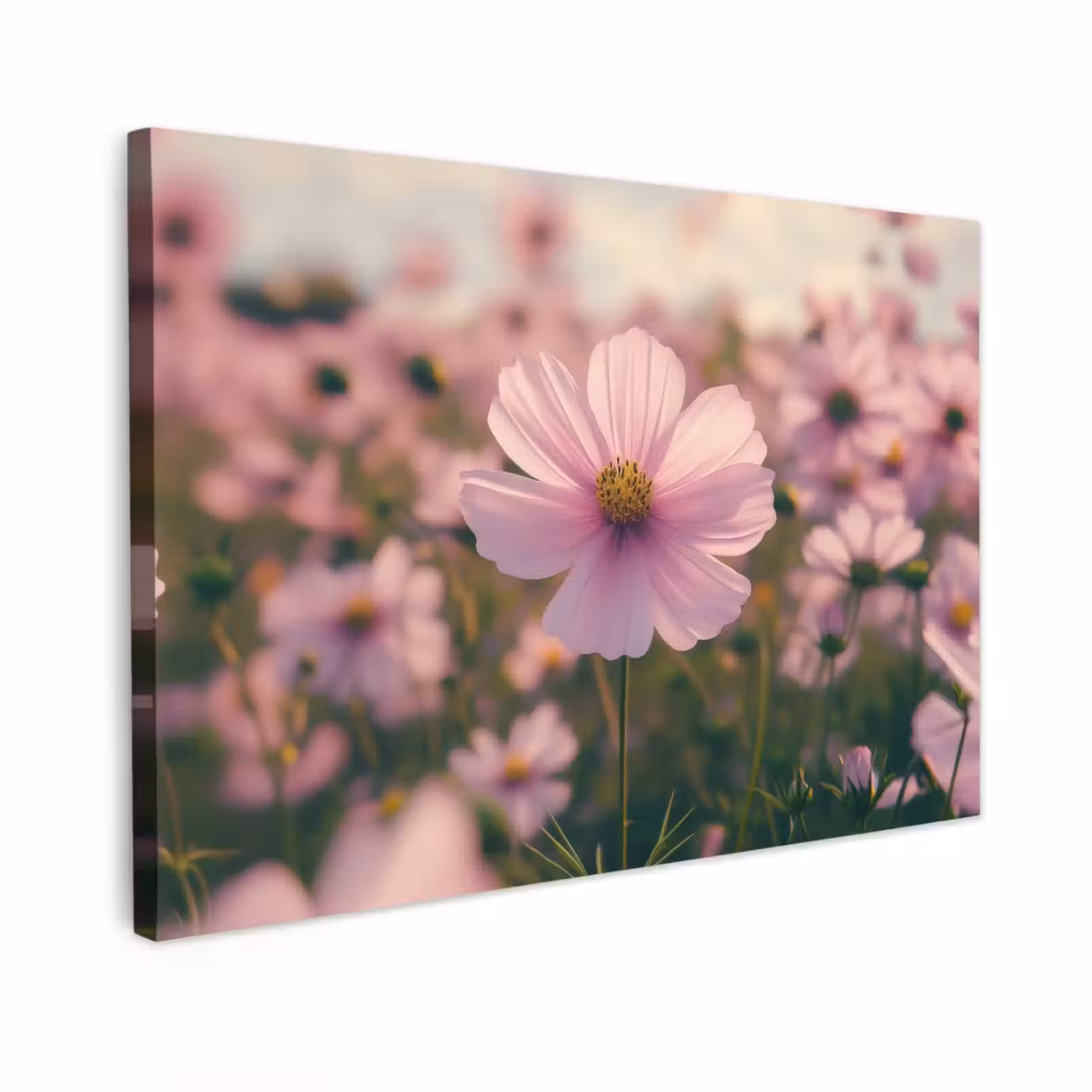 Canvas schilderij - Bloemen - Paars - Wazig — 1