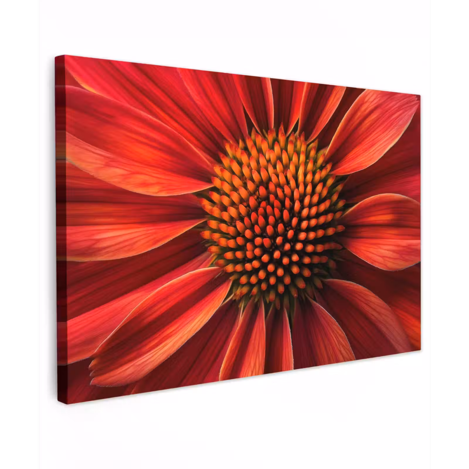 Canvas schilderij - Close up - Bloem- Rood — 1