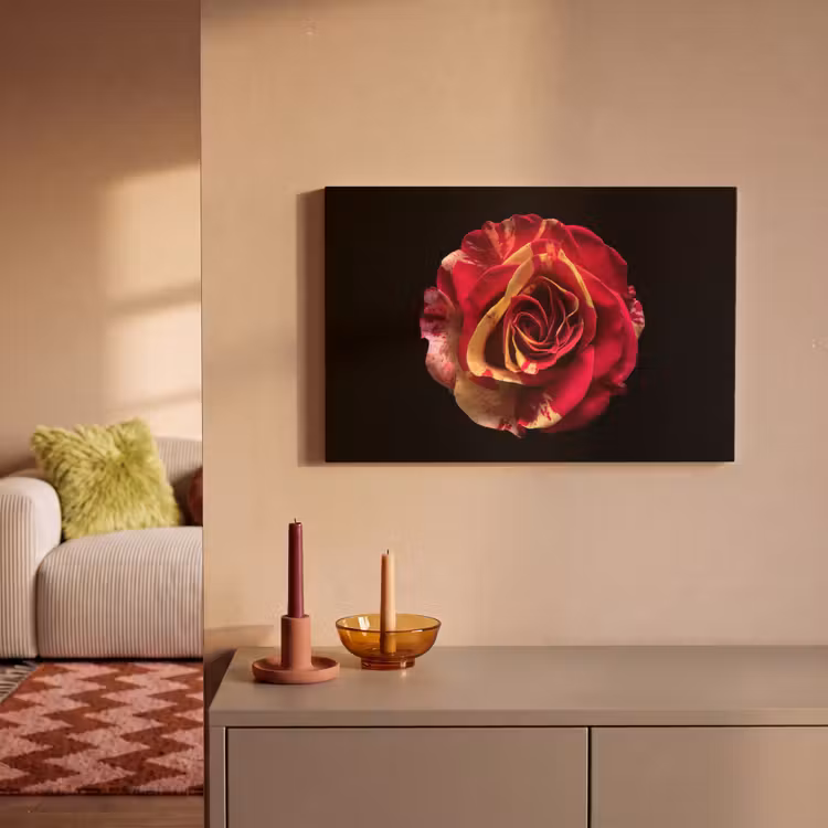 Canvas schilderij - Bloem - Roos - Rood - Zwart — 2