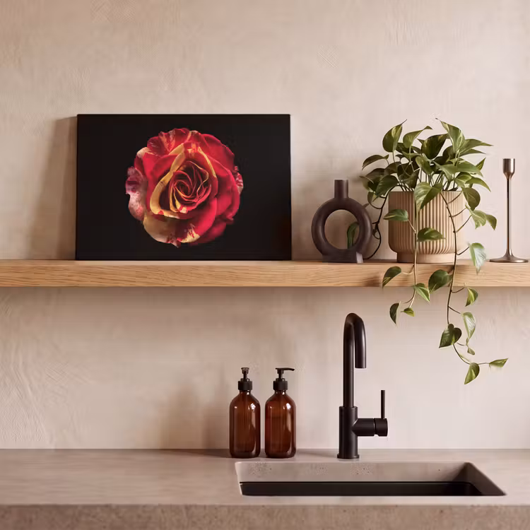 Canvas schilderij - Bloem - Roos - Rood - Zwart — 3