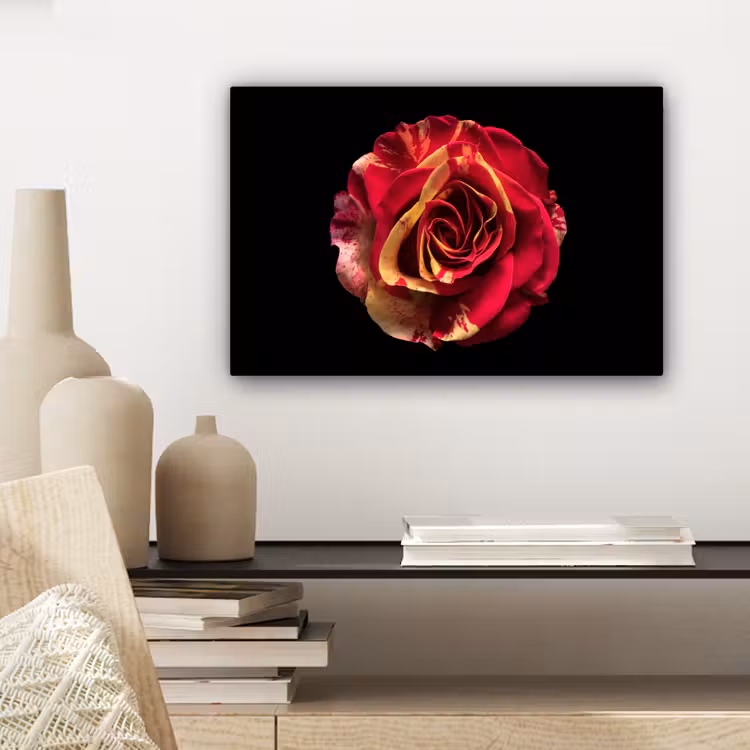 Canvas schilderij - Bloem - Roos - Rood - Zwart — 5