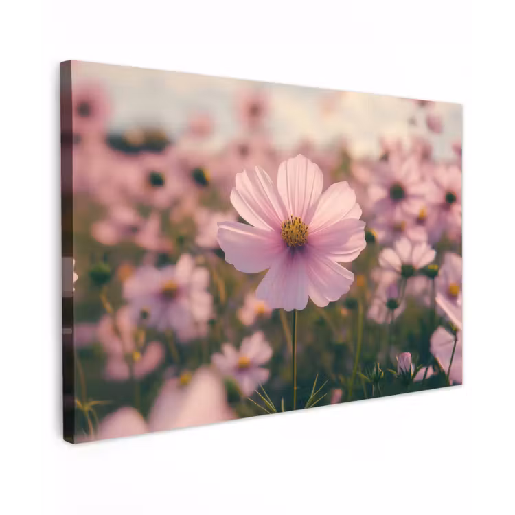 Canvas schilderij - Bloemen - Paars - Wazig — 1