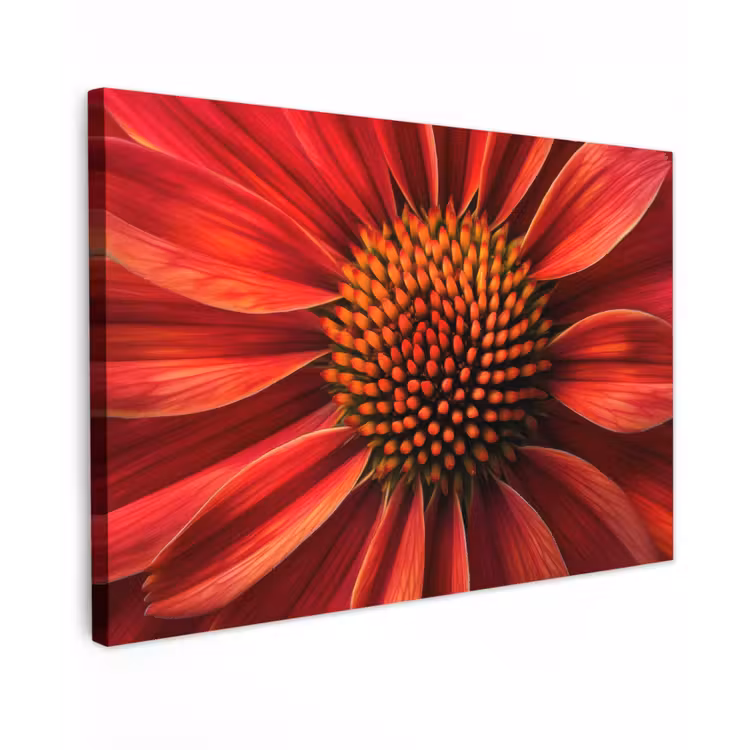 Canvas schilderij - Close up - Bloem- Rood — 1