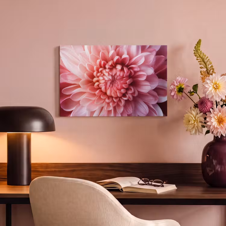 Canvas schilderij - Dahlia - Bloem - Close up - Roze — 4