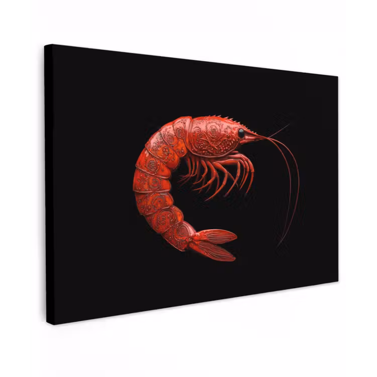 Canvas schilderij - Garnaal - Rood - Dieren — 1