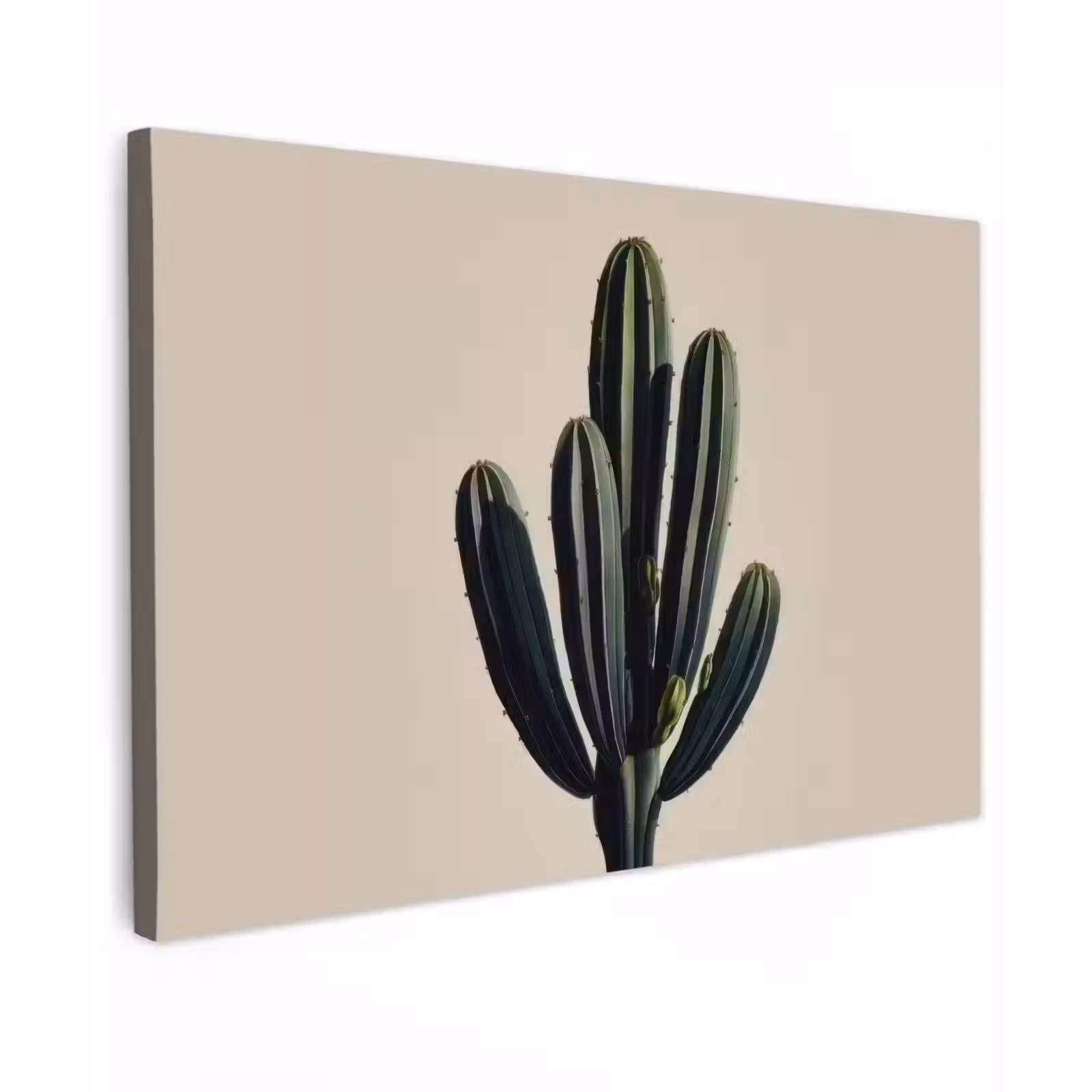 Canvas schilderij - Cactus - Subtiel - Groen — 1