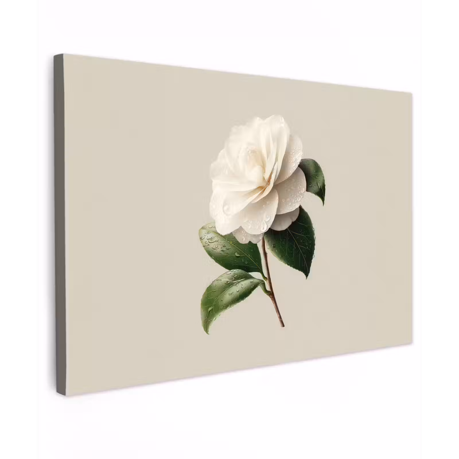 Canvas schilderij - Cameliabloem - Wit - Groen — 1