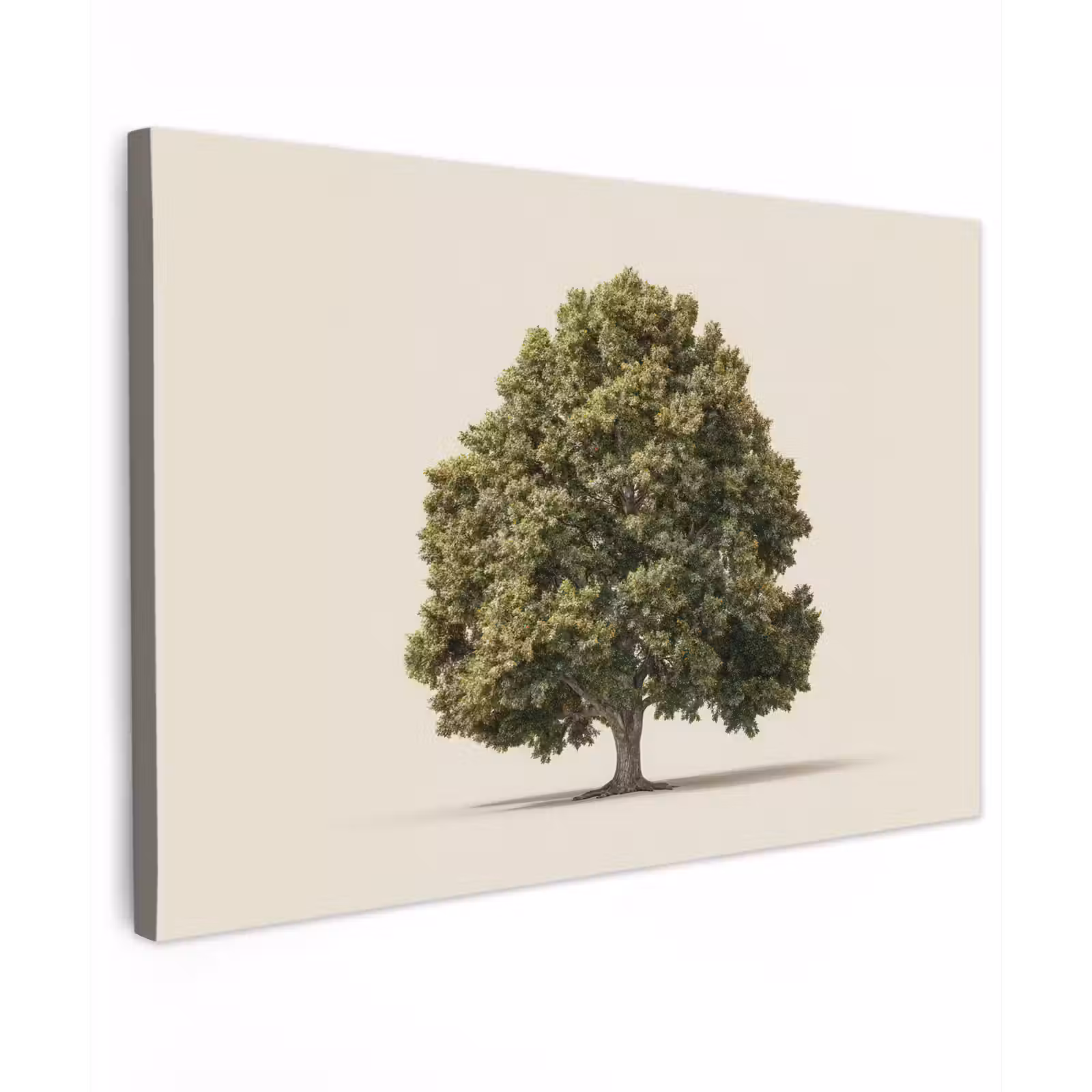 Canvas schilderij - Eikenboom - Groen - Lichte achtergrond — 1