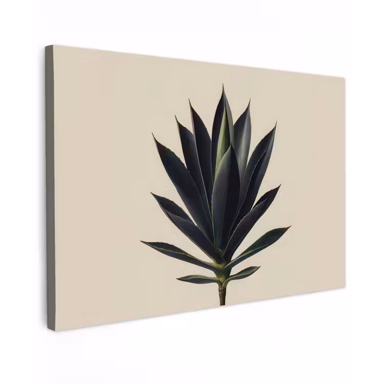 Canvas schilderij - Agaveplant - Symmetrisch - Groen — 1