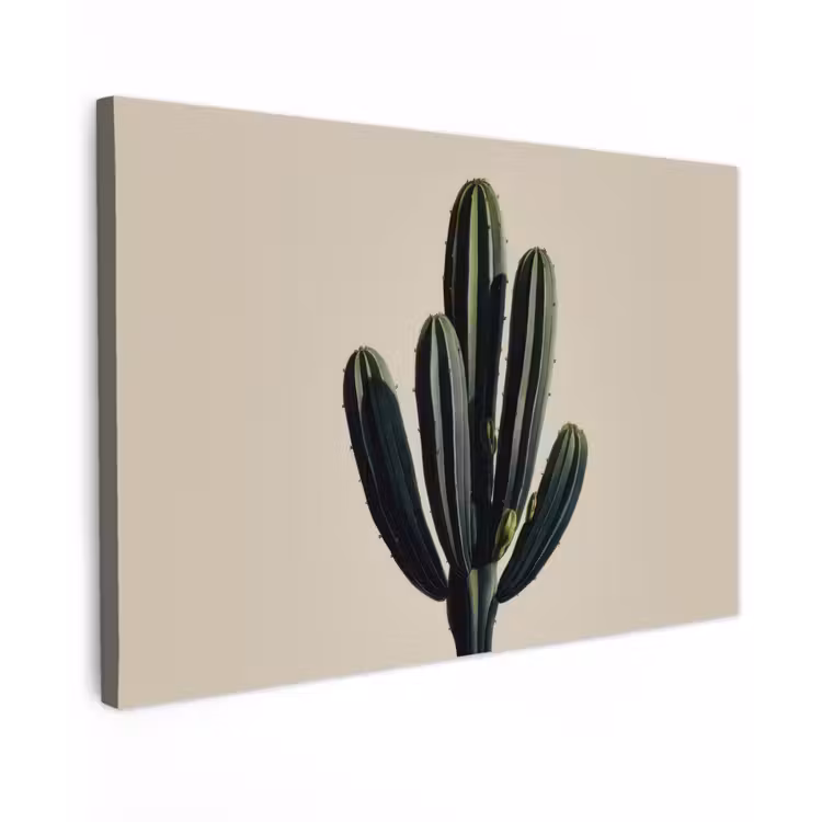 Canvas schilderij - Cactus - Subtiel - Groen — 1