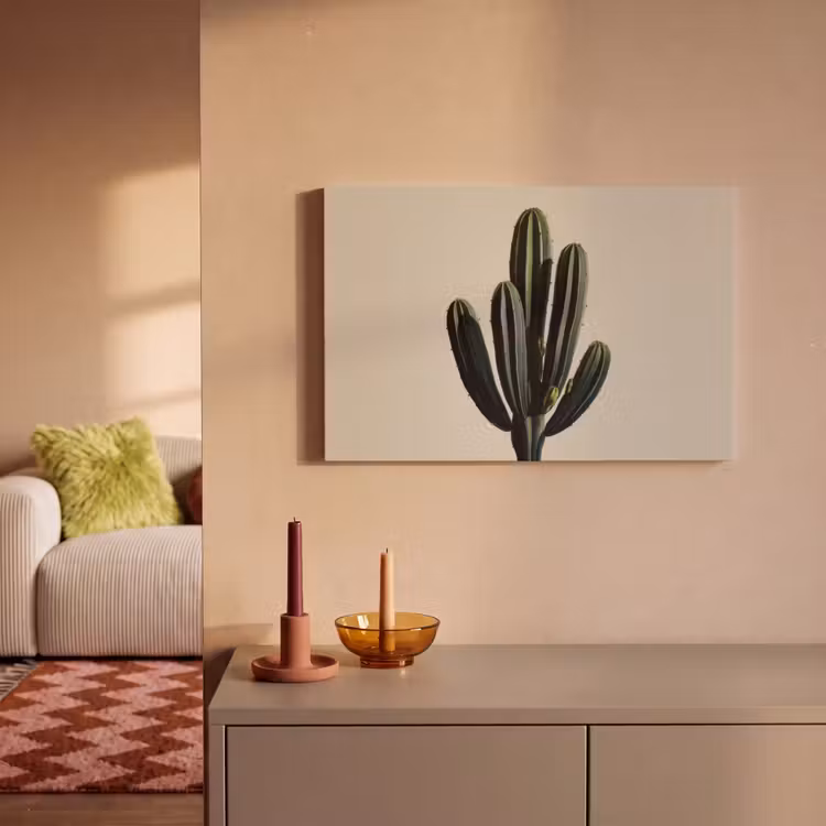 Canvas schilderij - Cactus - Subtiel - Groen — 2