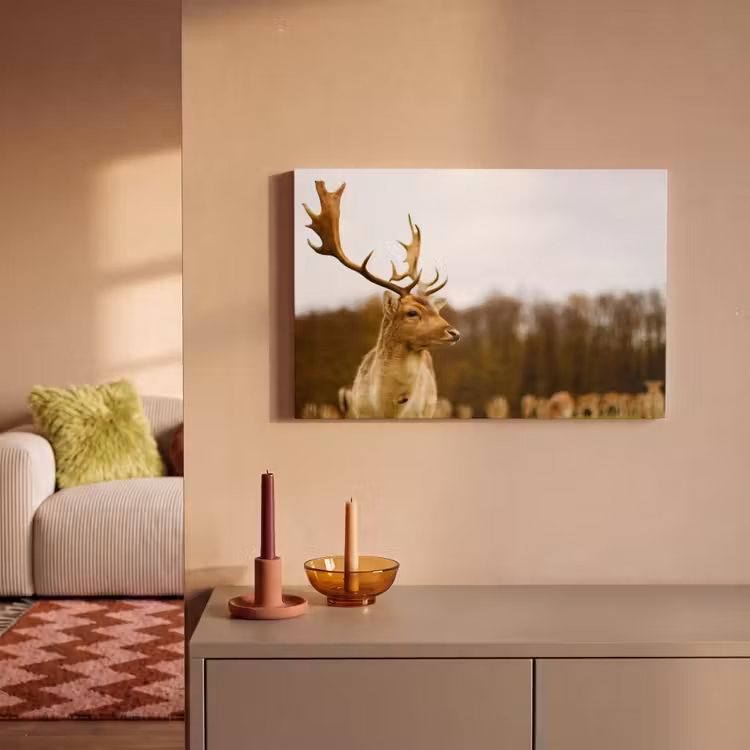 Canvas schilderij - Damhert - Bos - Kudde - Dieren - Natuur — 2