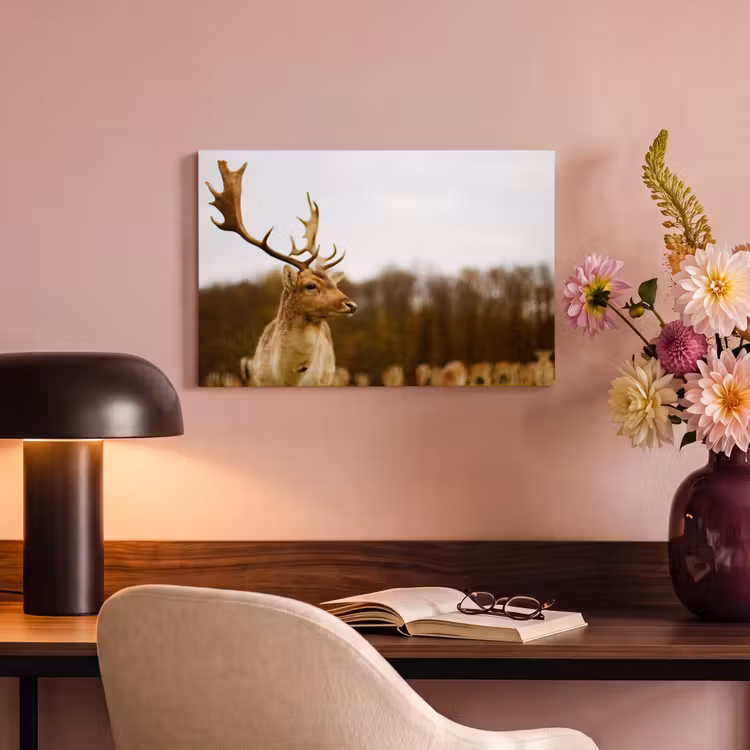 Canvas schilderij - Damhert - Bos - Kudde - Dieren - Natuur — 4