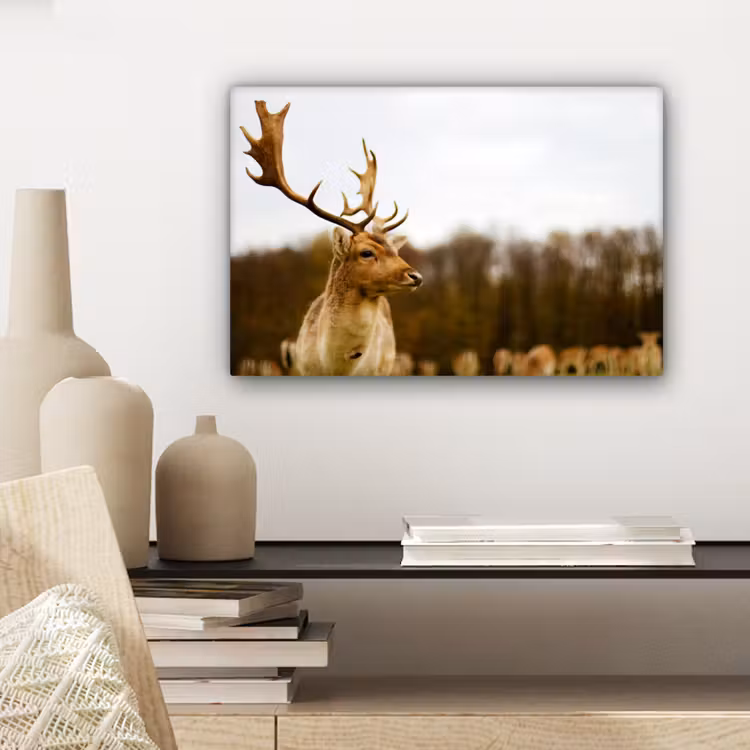 Canvas schilderij - Damhert - Bos - Kudde - Dieren - Natuur — 5