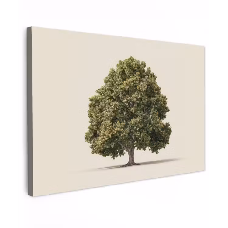 Canvas schilderij - Eikenboom - Groen - Lichte achtergrond — 1