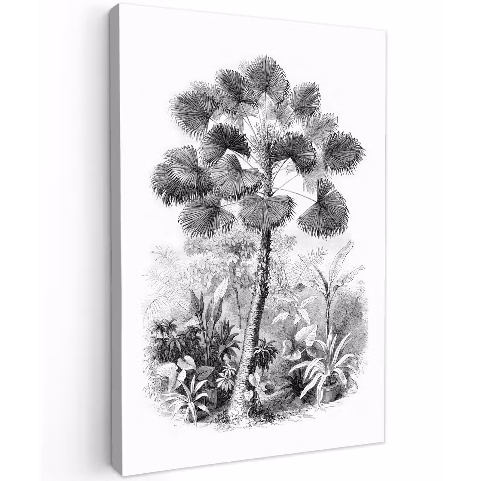 Canvas schilderij - Design - Zwart wit - Natuur — 1