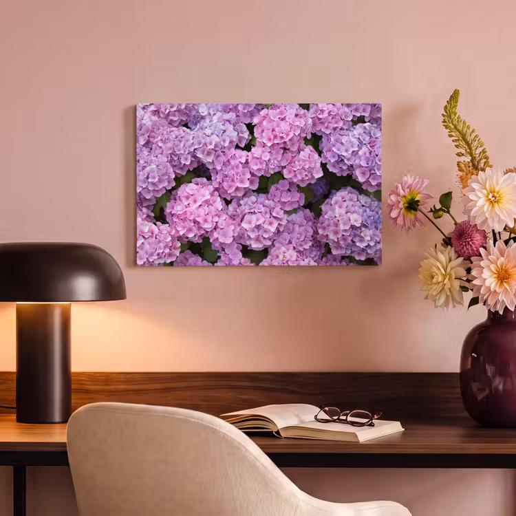 Canvas schilderij - Bloemen - Hortensia - Struik - Roze - Bloemblaadjes — 4