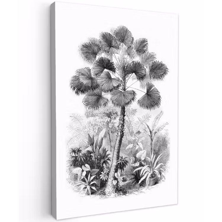 Canvas schilderij - Design - Zwart wit - Natuur — 1