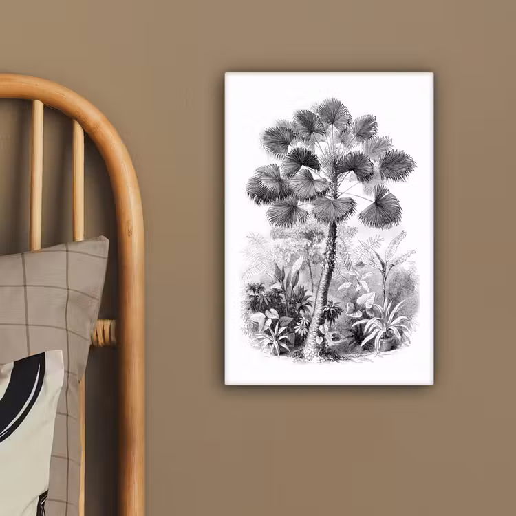 Canvas schilderij - Design - Zwart wit - Natuur — 3