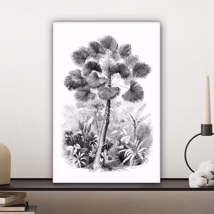 Canvas schilderij - Design - Zwart wit - Natuur — 5