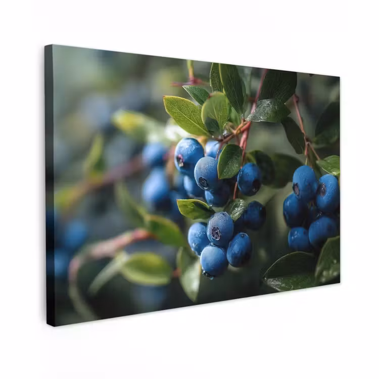 Canvas schilderij - Blauwe bessen - Dauwdruppels - Natuurlijk licht — 1