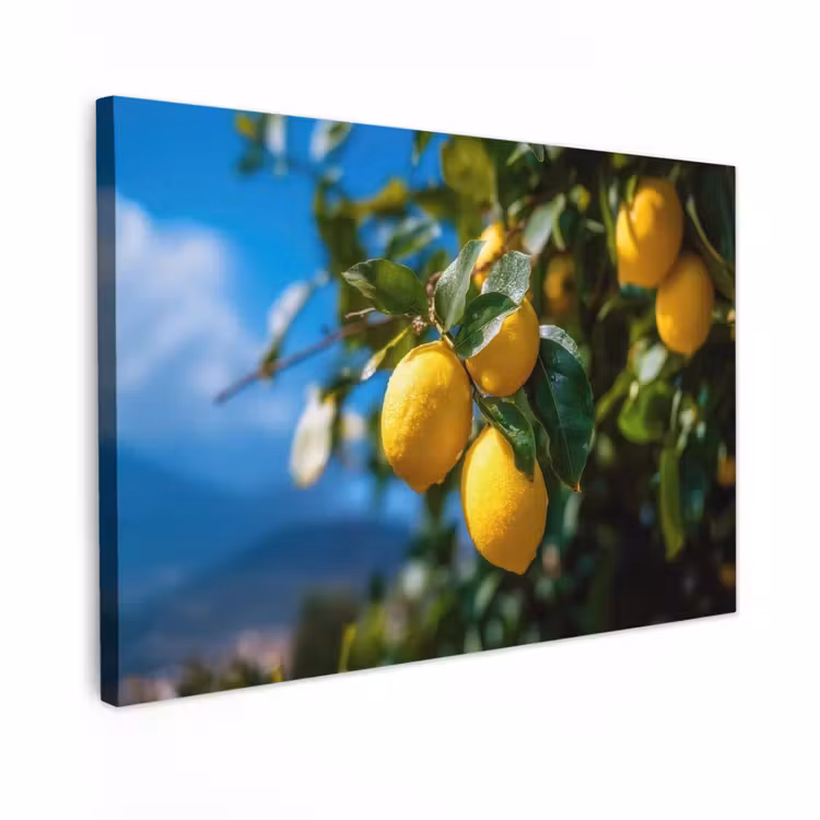 Canvas schilderij - Citroenen - Bladeren - Blauwe lucht — 1