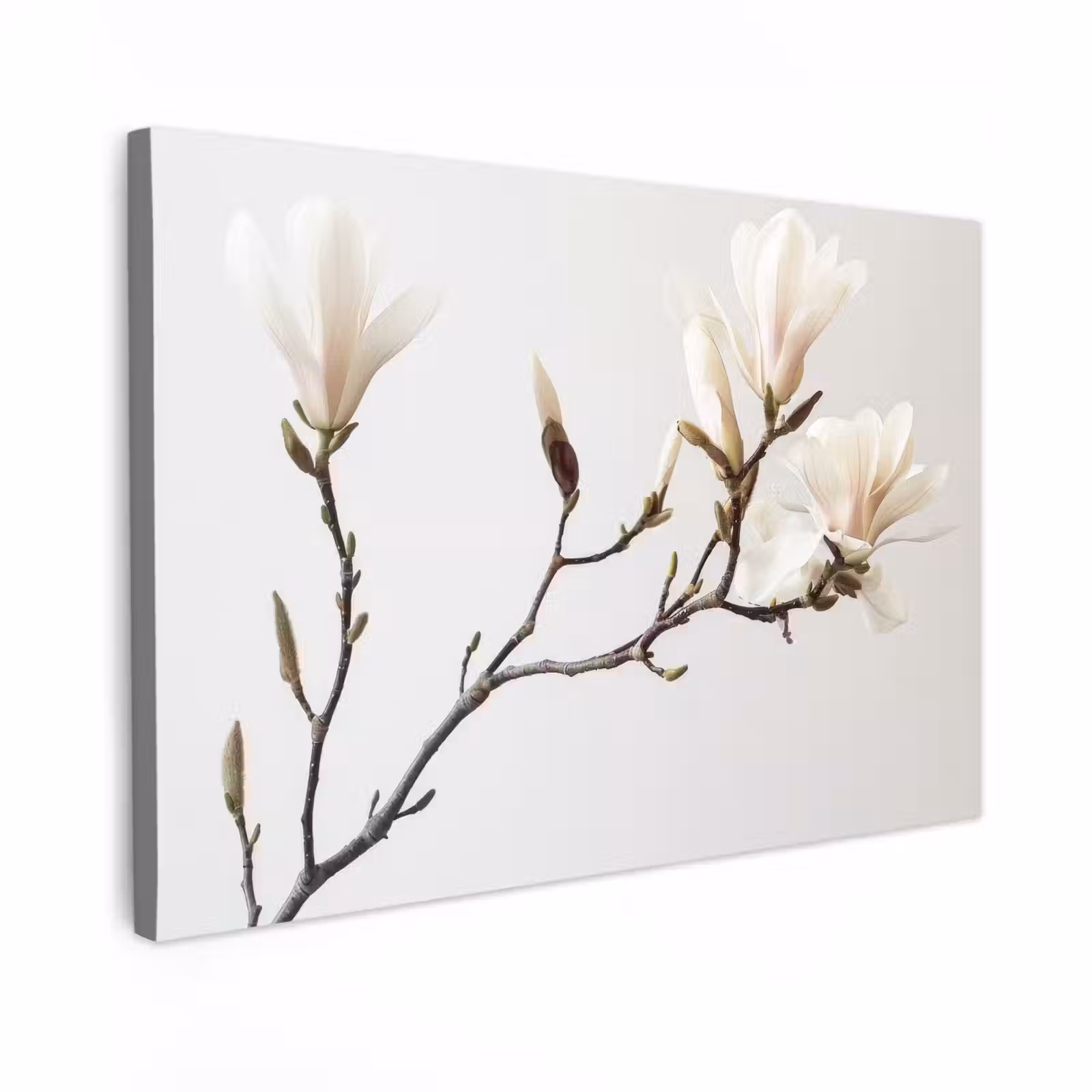 Canvas schilderij - Bloemen - Wit - Natuur - Magnolia — 1