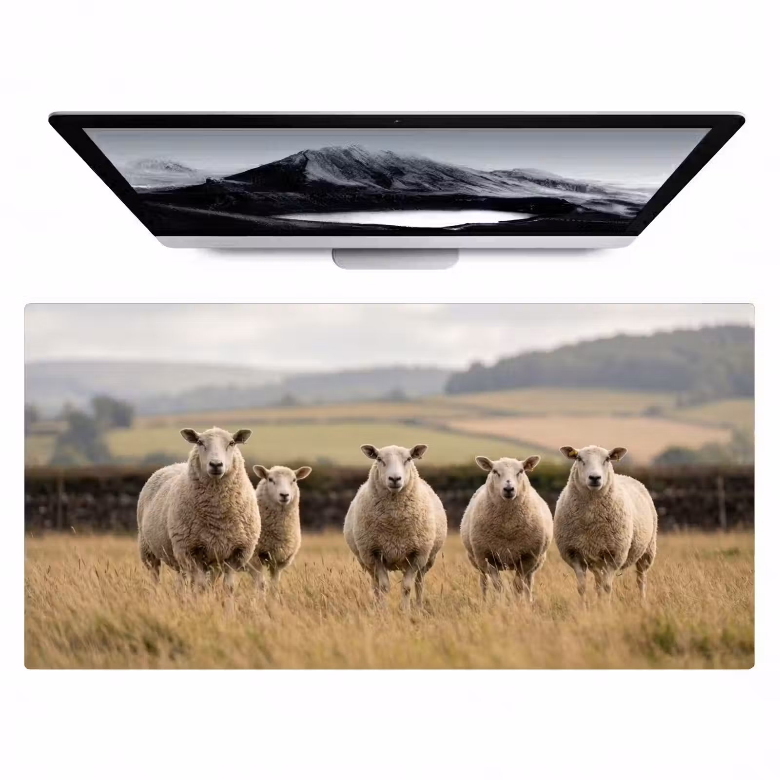 Bureau onderlegger - Schapen - Weidenlandschap - Heuvels — 1