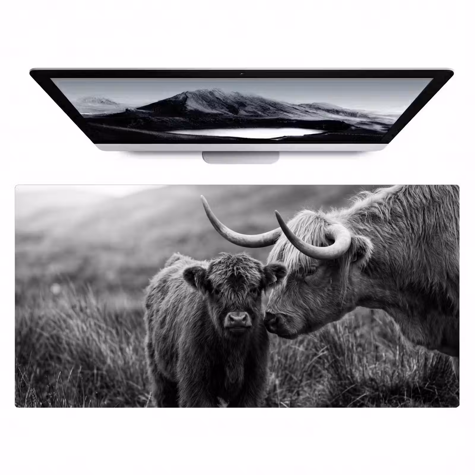 Bureau onderlegger - Schotse hooglander - Kalf - Zwart - Wit — 1