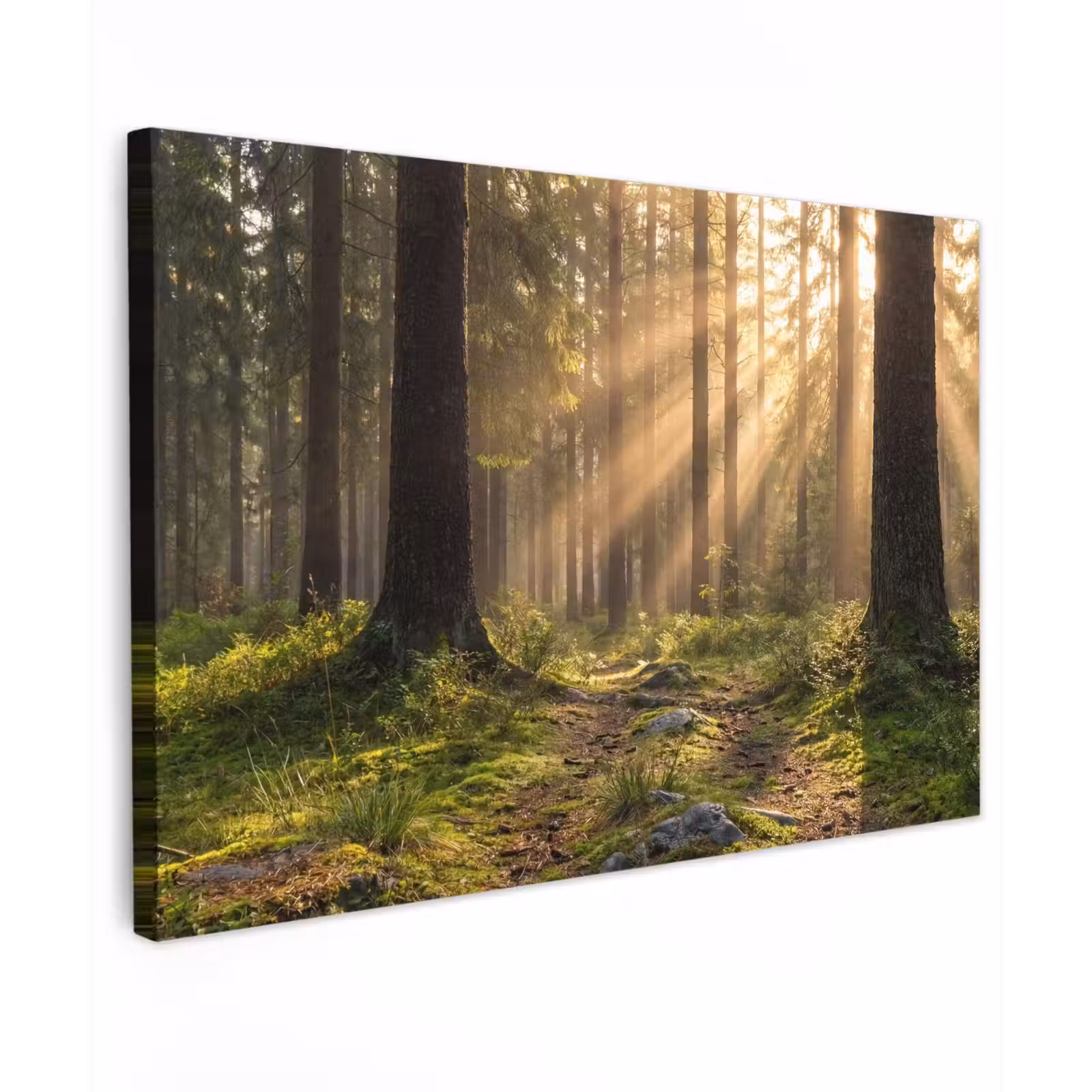 Canvas schilderij - Bos - Zonlicht - Gras — 1