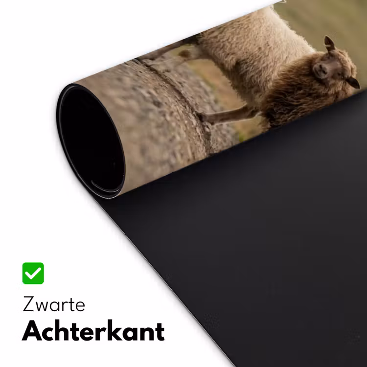 Bureau onderlegger - Schapen - Bruin - Wit - Grindpad — 5