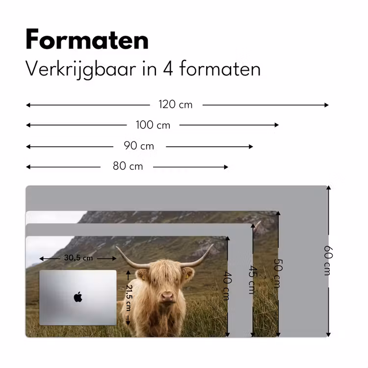 Bureau onderlegger - Schotse hooglander - Bergen - Grasveld — 8